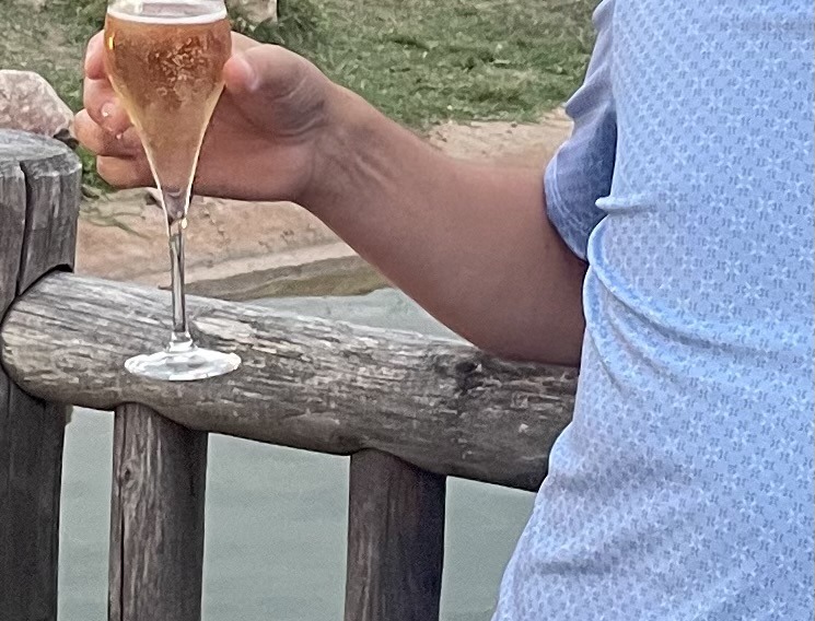 Profil de Carmelo, 48 ans, Gay Suisse à Morcles