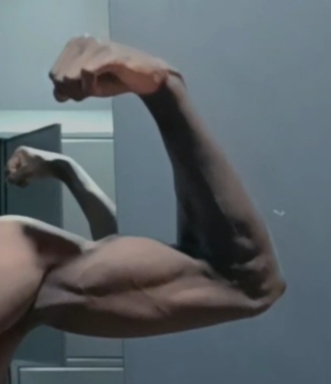 Profil de Ylias, 20 ans, Gay Suisse à Arvigo