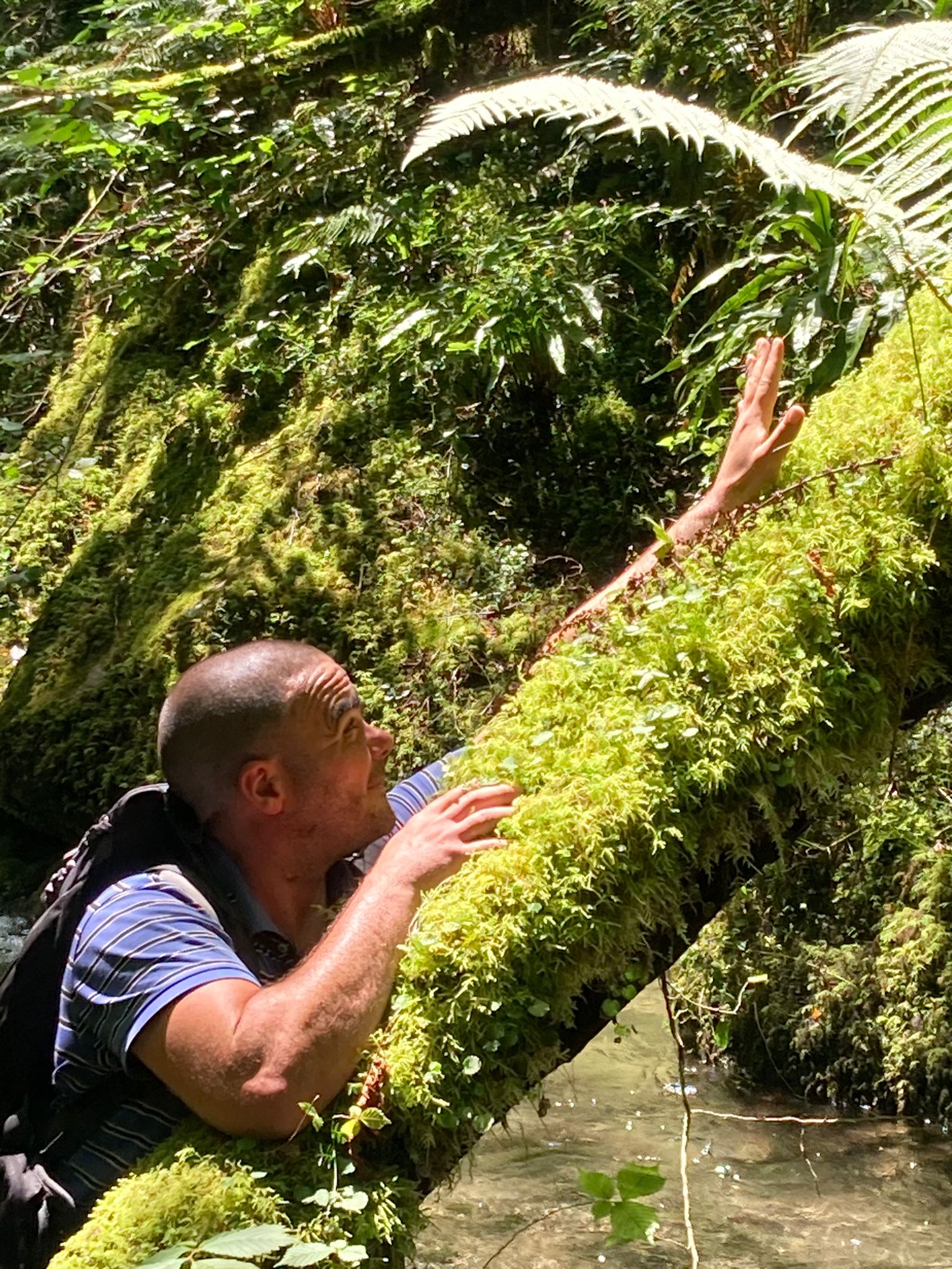 Profil de Argan, 41 ans, Gay Suisse à Obergösgen