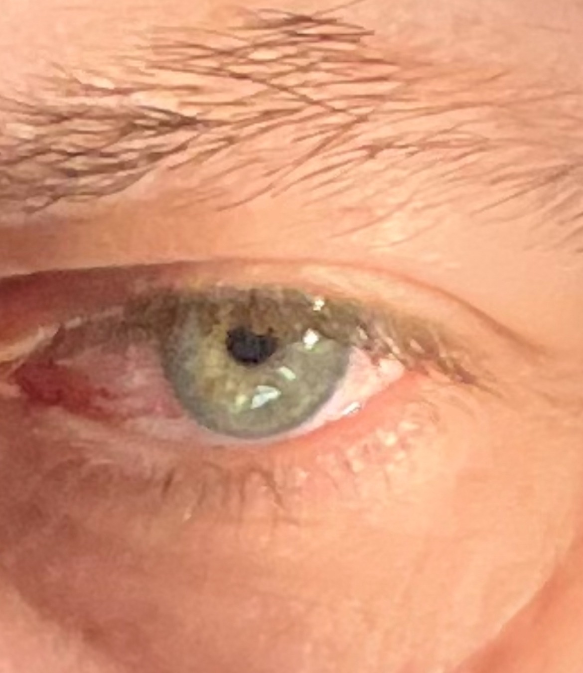 Profil de Devran, 47 ans, Gay Suisse à Valzeina