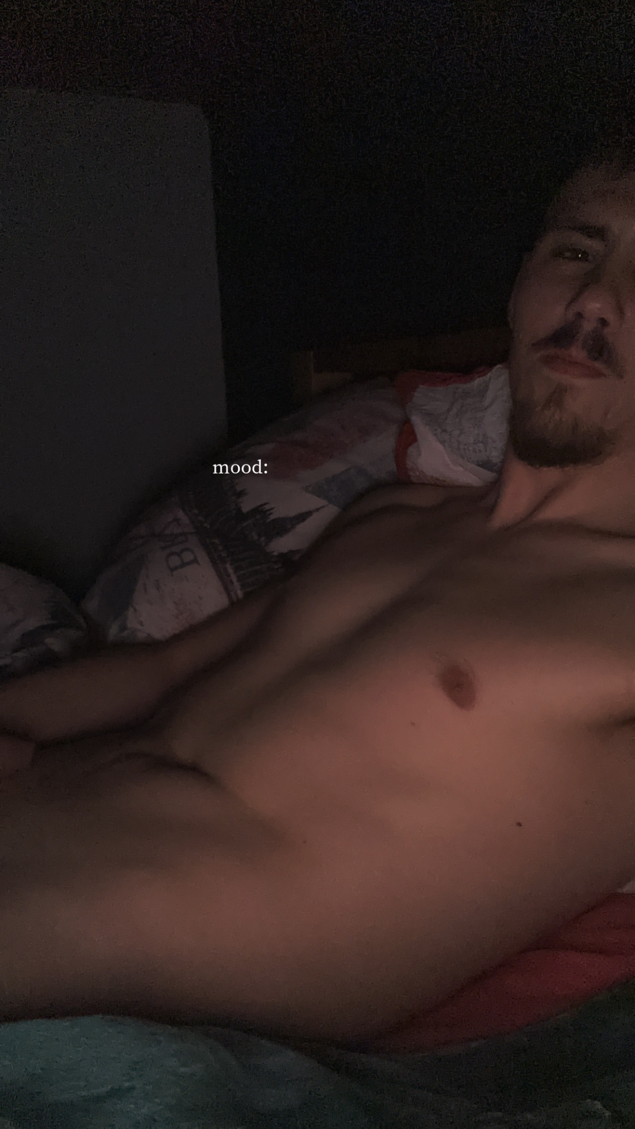 Profil de Cornil, 26 ans, Gay Suisse à Ogens